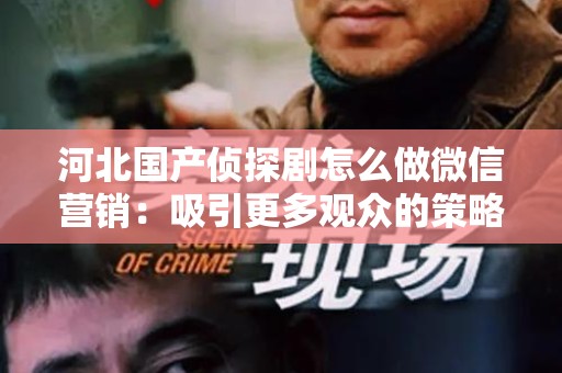 河北国产侦探剧怎么做微信营销：吸引更多观众的策略