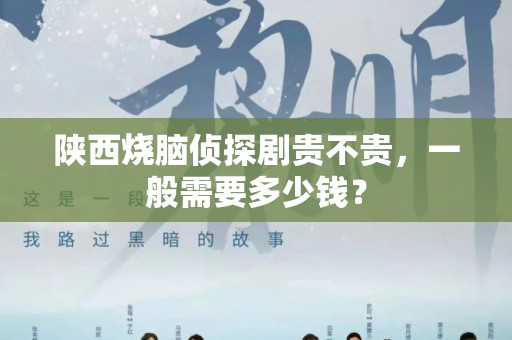 陕西烧脑侦探剧贵不贵，一般需要多少钱？