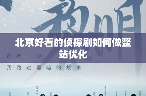 北京好看的侦探剧如何做整站优化