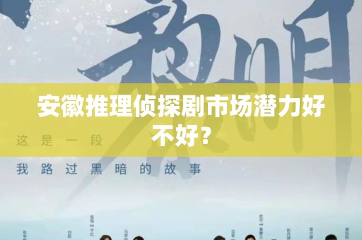 安徽推理侦探剧市场潜力好不好？