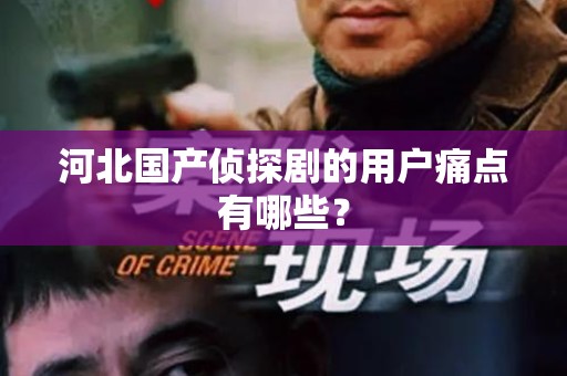 河北国产侦探剧的用户痛点有哪些？
