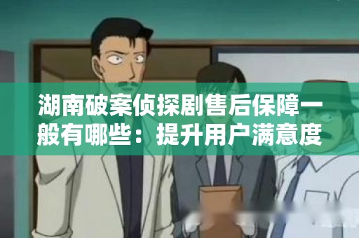 湖南破案侦探剧售后保障一般有哪些：提升用户满意度的策略