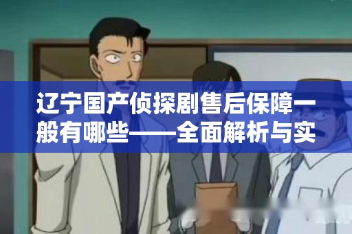 辽宁国产侦探剧售后保障一般有哪些——全面解析与实用指南