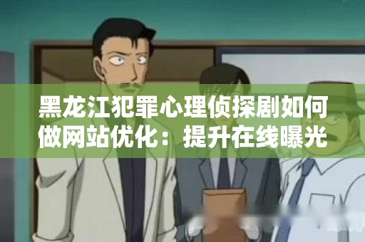 黑龙江犯罪心理侦探剧如何做网站优化：提升在线曝光率与用户体验