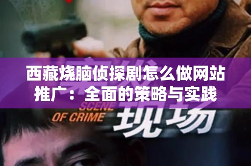 西藏烧脑侦探剧怎么做网站推广：全面的策略与实践