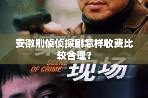 安徽刑侦侦探剧怎样收费比较合理？