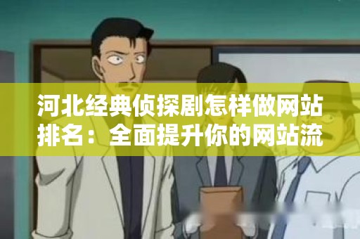 河北经典侦探剧怎样做网站排名：全面提升你的网站流量