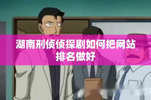 湖南刑侦侦探剧如何把网站排名做好