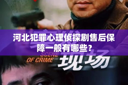 河北犯罪心理侦探剧售后保障一般有哪些？