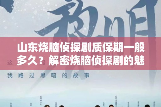 山东烧脑侦探剧质保期一般多久？解密烧脑侦探剧的魅力与挑战