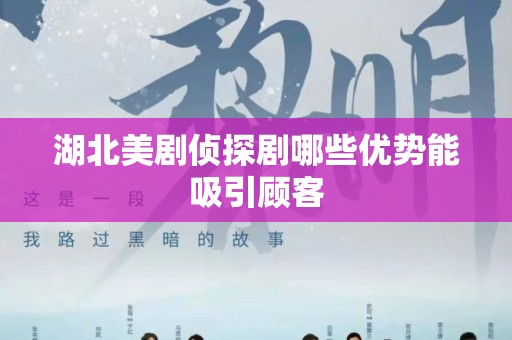湖北美剧侦探剧哪些优势能吸引顾客