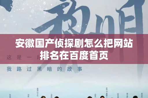 安徽国产侦探剧怎么把网站排名在百度首页