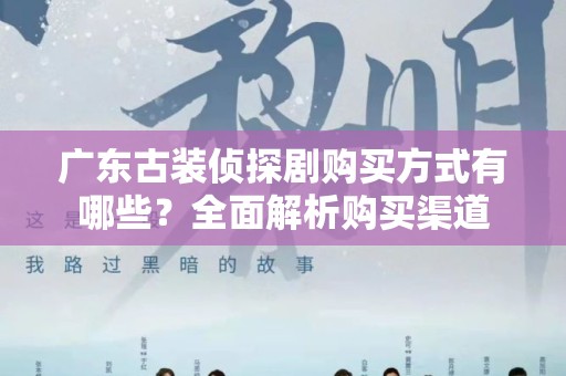 广东古装侦探剧购买方式有哪些？全面解析购买渠道