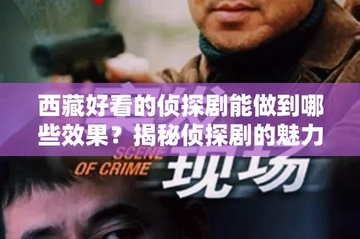 西藏好看的侦探剧能做到哪些效果？揭秘侦探剧的魅力与影响