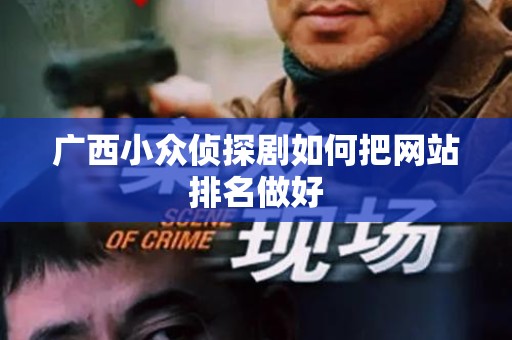 广西小众侦探剧如何把网站排名做好