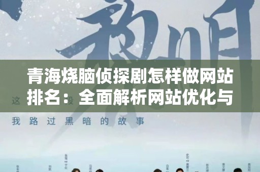 青海烧脑侦探剧怎样做网站排名：全面解析网站优化与推广