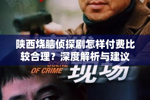 陕西烧脑侦探剧怎样付费比较合理？深度解析与建议