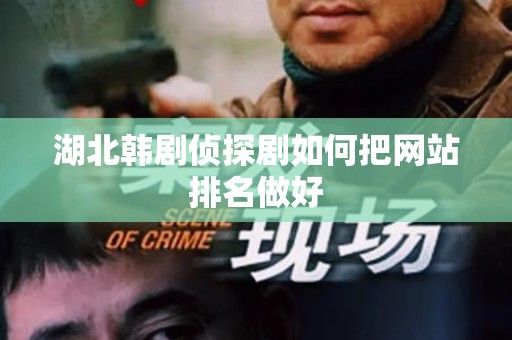 湖北韩剧侦探剧如何把网站排名做好