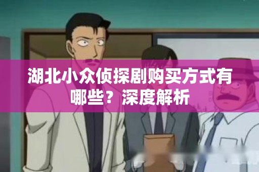 湖北小众侦探剧购买方式有哪些？深度解析