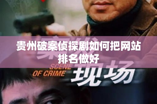 贵州破案侦探剧如何把网站排名做好