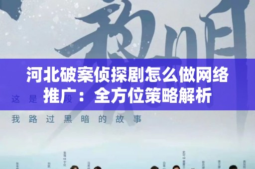 河北破案侦探剧怎么做网络推广：全方位策略解析