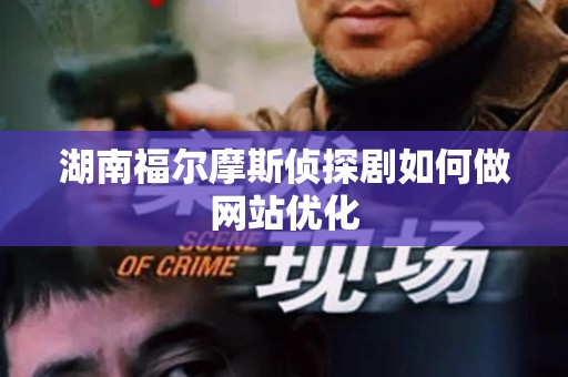 湖南福尔摩斯侦探剧如何做网站优化