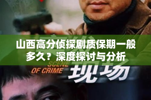 山西高分侦探剧质保期一般多久？深度探讨与分析