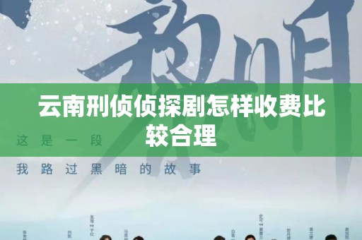 云南刑侦侦探剧怎样收费比较合理
