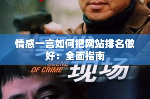 情感一言如何把网站排名做好：全面指南