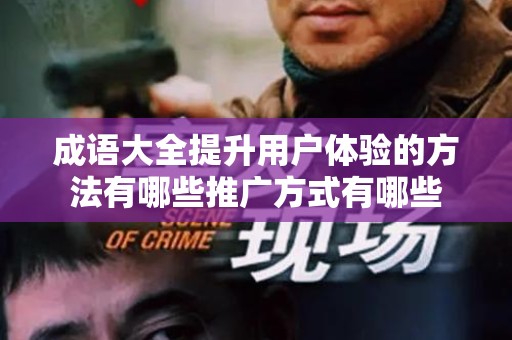 成语大全提升用户体验的方法有哪些推广方式有哪些
