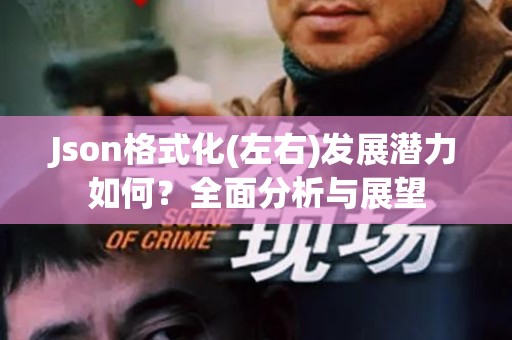 Json格式化(左右)发展潜力如何？全面分析与展望