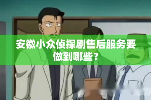 安徽小众侦探剧售后服务要做到哪些？