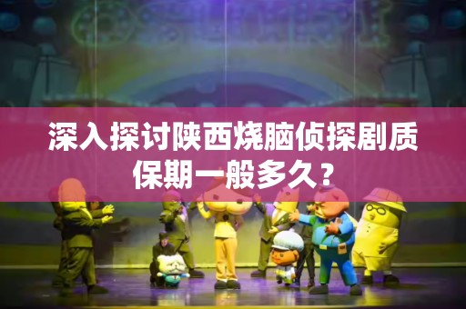 深入探讨陕西烧脑侦探剧质保期一般多久？