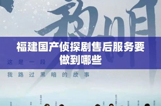 福建国产侦探剧售后服务要做到哪些
