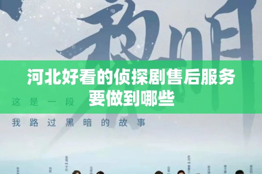 河北好看的侦探剧售后服务要做到哪些