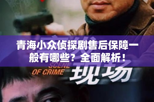 青海小众侦探剧售后保障一般有哪些？全面解析！