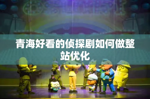 青海好看的侦探剧如何做整站优化