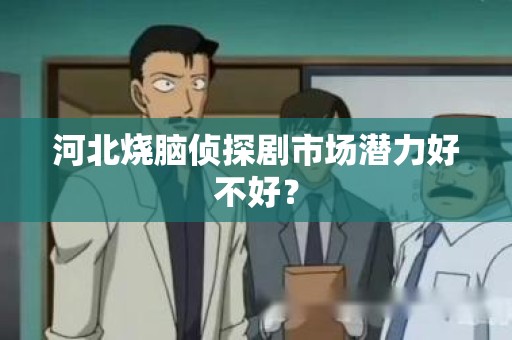 河北烧脑侦探剧市场潜力好不好？