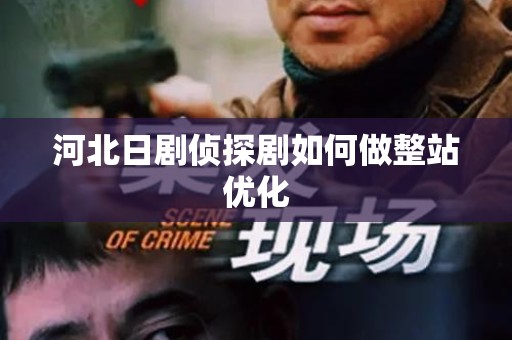 河北日剧侦探剧如何做整站优化