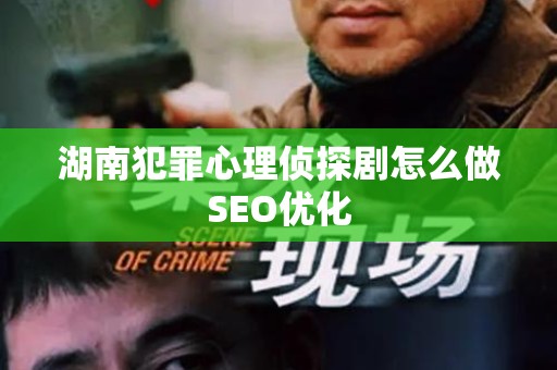 湖南犯罪心理侦探剧怎么做SEO优化
