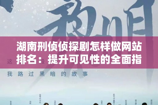 湖南刑侦侦探剧怎样做网站排名：提升可见性的全面指南