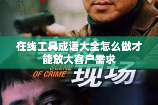 在线工具成语大全怎么做才能放大客户需求