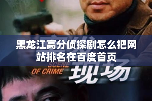 黑龙江高分侦探剧怎么把网站排名在百度首页