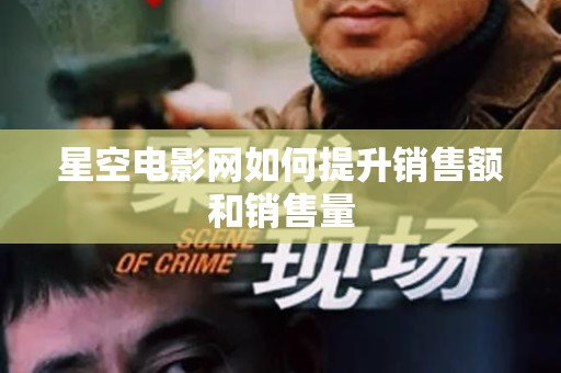 星空电影网如何提升销售额和销售量