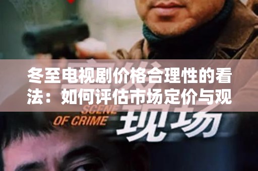 冬至电视剧价格合理性的看法：如何评估市场定价与观众反馈