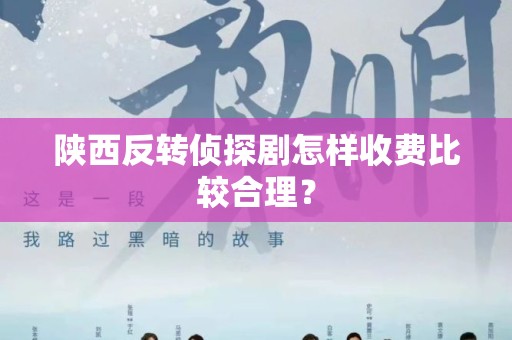 陕西反转侦探剧怎样收费比较合理？