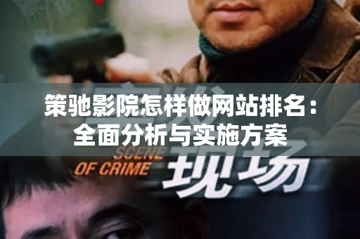 策驰影院怎样做网站排名：全面分析与实施方案