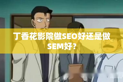 丁香花影院做SEO好还是做SEM好？