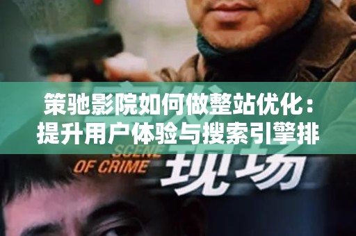 策驰影院如何做整站优化：提升用户体验与搜索引擎排名