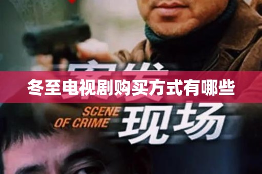 冬至电视剧购买方式有哪些